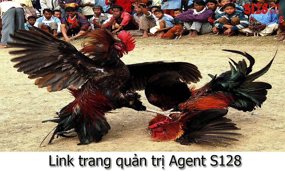 Link trang quản trị Agent S128